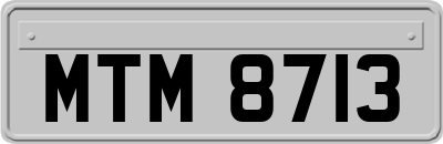 MTM8713