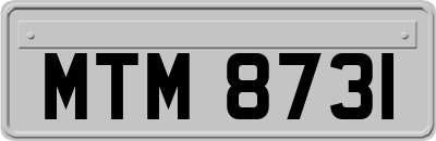 MTM8731