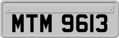 MTM9613