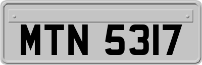 MTN5317