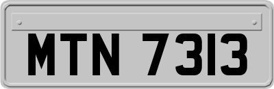 MTN7313