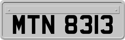 MTN8313