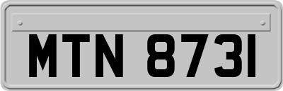 MTN8731