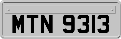 MTN9313