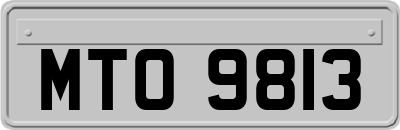 MTO9813