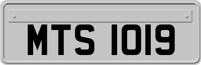 MTS1019