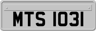 MTS1031