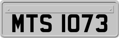 MTS1073