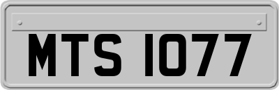 MTS1077