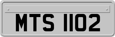 MTS1102