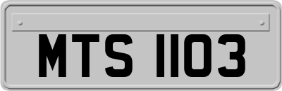 MTS1103