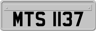 MTS1137