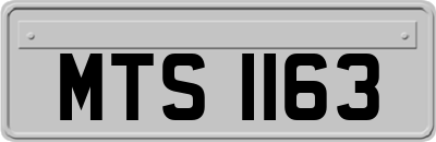 MTS1163