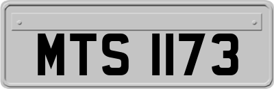 MTS1173