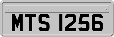 MTS1256