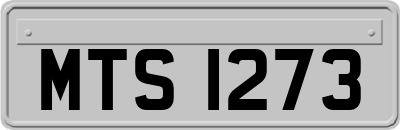 MTS1273