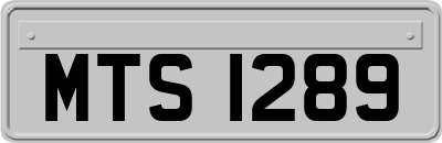 MTS1289