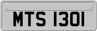 MTS1301
