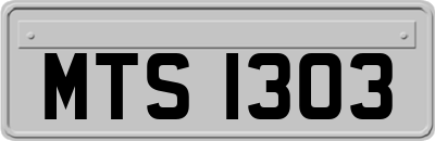 MTS1303