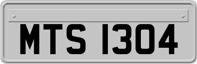 MTS1304