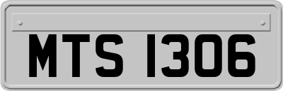 MTS1306