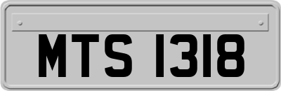 MTS1318