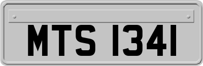 MTS1341