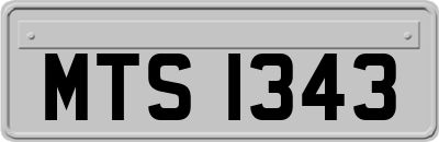 MTS1343