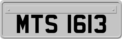 MTS1613