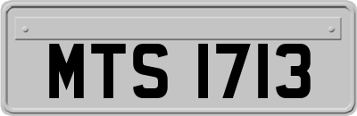 MTS1713