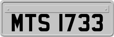 MTS1733