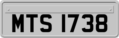 MTS1738