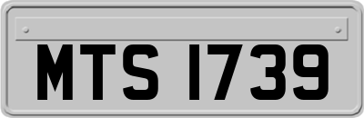 MTS1739
