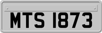 MTS1873