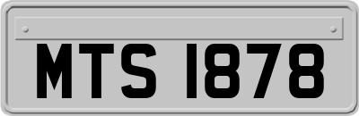 MTS1878
