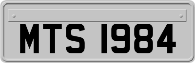 MTS1984