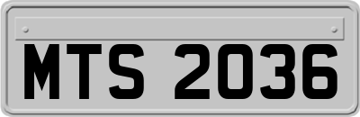 MTS2036