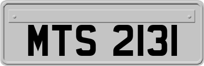 MTS2131