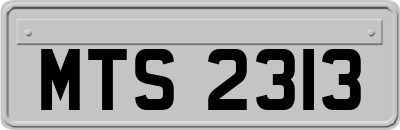 MTS2313