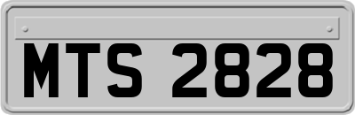 MTS2828