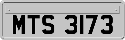 MTS3173