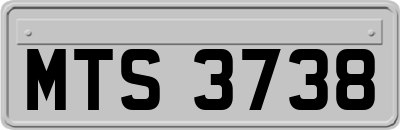 MTS3738