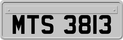 MTS3813