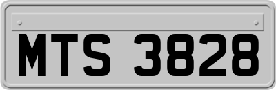 MTS3828