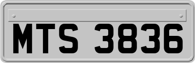MTS3836