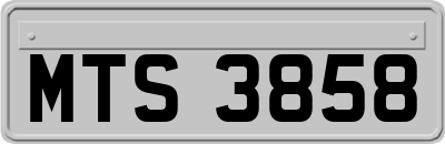 MTS3858