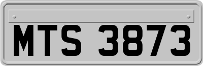 MTS3873