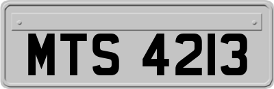 MTS4213