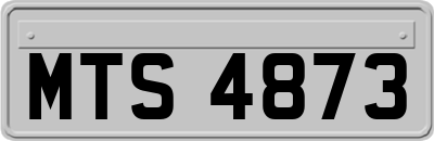 MTS4873