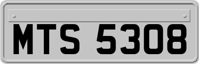 MTS5308